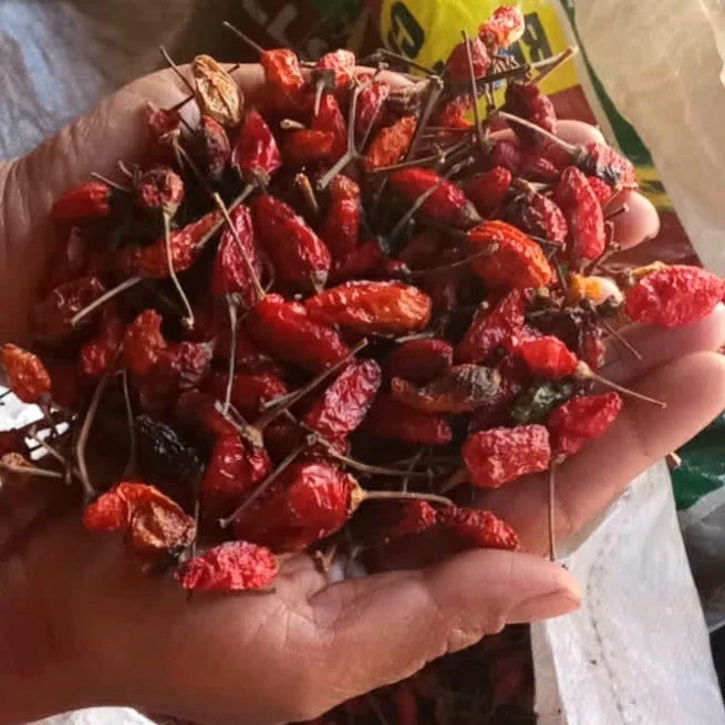 Red Dried Mizo Bird's Eye Chilli